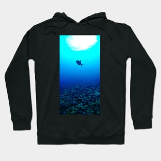 FUSCUS LIGHT OF SUDAN Hoodie